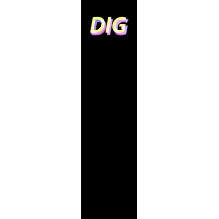 DIG Prism Logo
